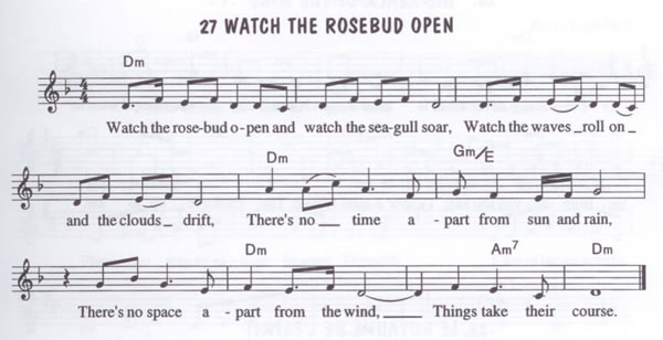  Watch the Rosebud open 